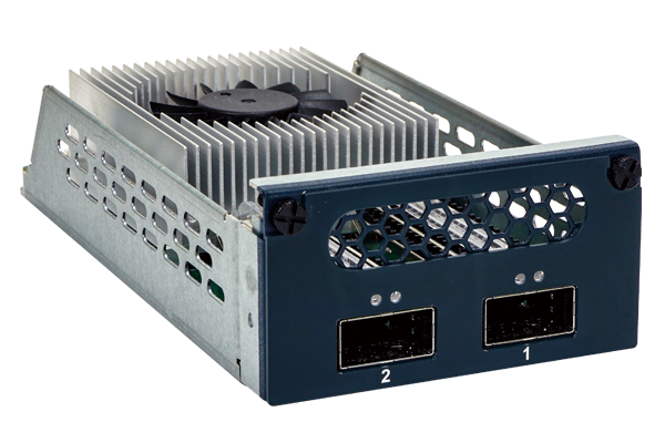 PulM-100G2SF-E810 100GbE Network Module_right