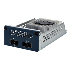 PulM-100G2SF-E810 100GbE Network Module