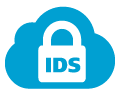 Intrusion Detection System (IDS)